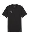 PUMA teamFINAL Trikot Trikot Herren - schwarzweiss