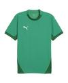 PUMA teamFINAL Trikot Trikot Herren - gruenweiss