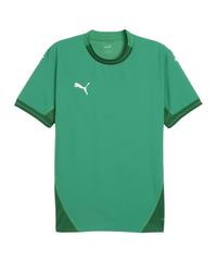 PUMA teamFINAL Trikot Trikot Herren - gruenweiss