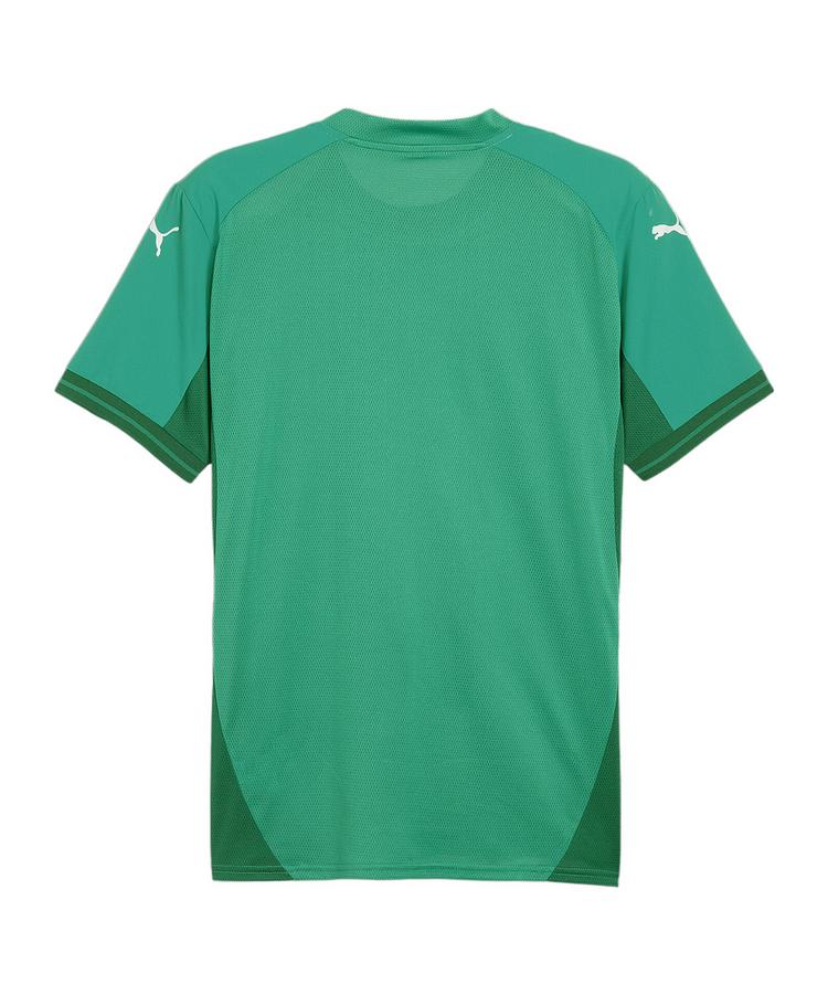 PUMA PUMA teamFINAL Trikot Trikot Herren - gruenweiss - 0 | SportScheck