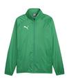 PUMA teamGOAL Allwetterjacke Regenjacke Herren - gruenweiss