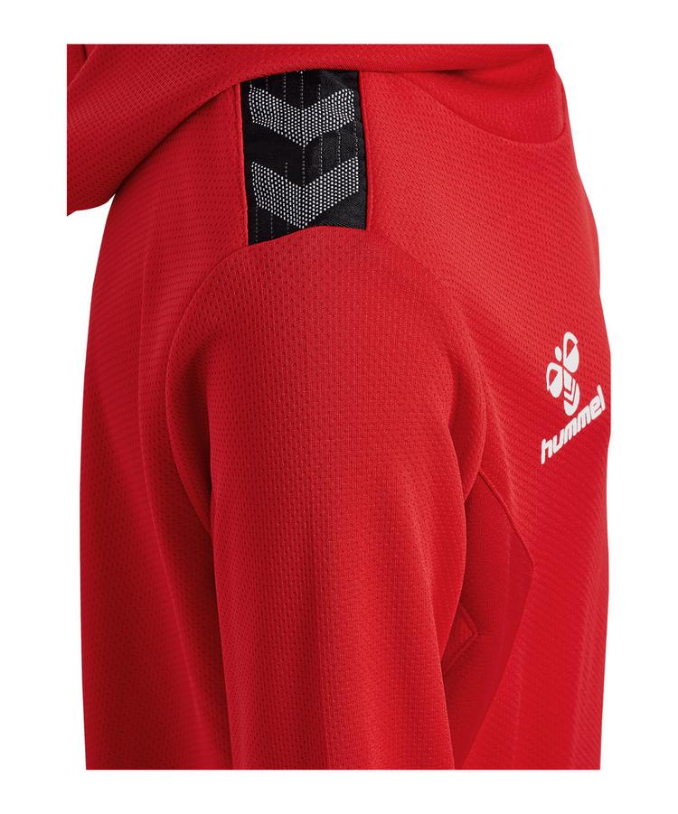 hummel hummel Authentic Pl Hoody Kids Funktionssweatshirt Kinder - rot - 1 | SportScheck
