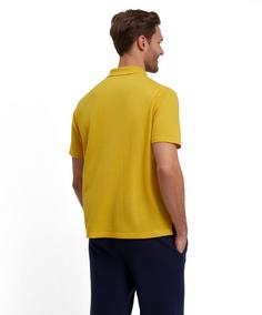 Rückansicht von Falke Polo Shirt Poloshirt Herren sunshine (1300)