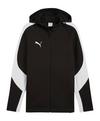 PUMA teamEVOSTRIPE Kapuzenjacke Funktionssweatshirt Herren - schwarz