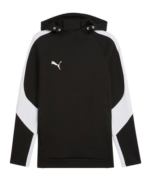 PUMA TeamEvostripe Hoody Funktionssweatshirt Herren