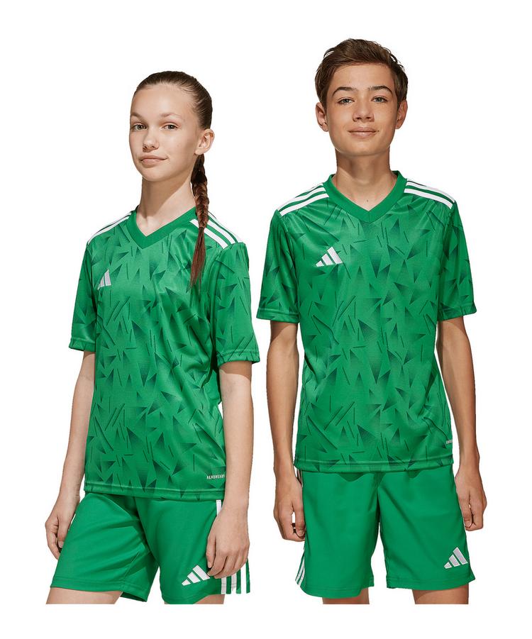adidas adidas Team Icon 25 Trikot Kids Trikot Kinder - gruenweiss - 1 | SportScheck