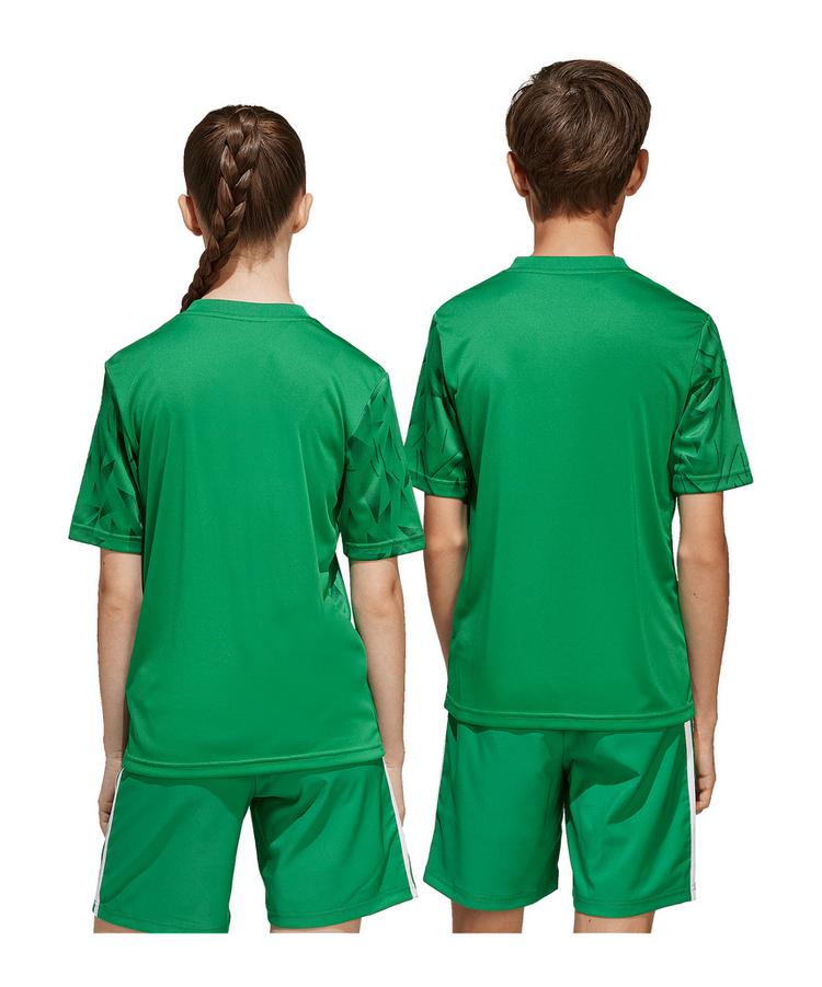 adidas adidas Team Icon 25 Trikot Kids Trikot Kinder - gruenweiss - 2 | SportScheck