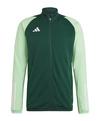 adidas Tiro 23 Competition Trainingsjacke Trainingsjacke Herren - gruenhellgruen