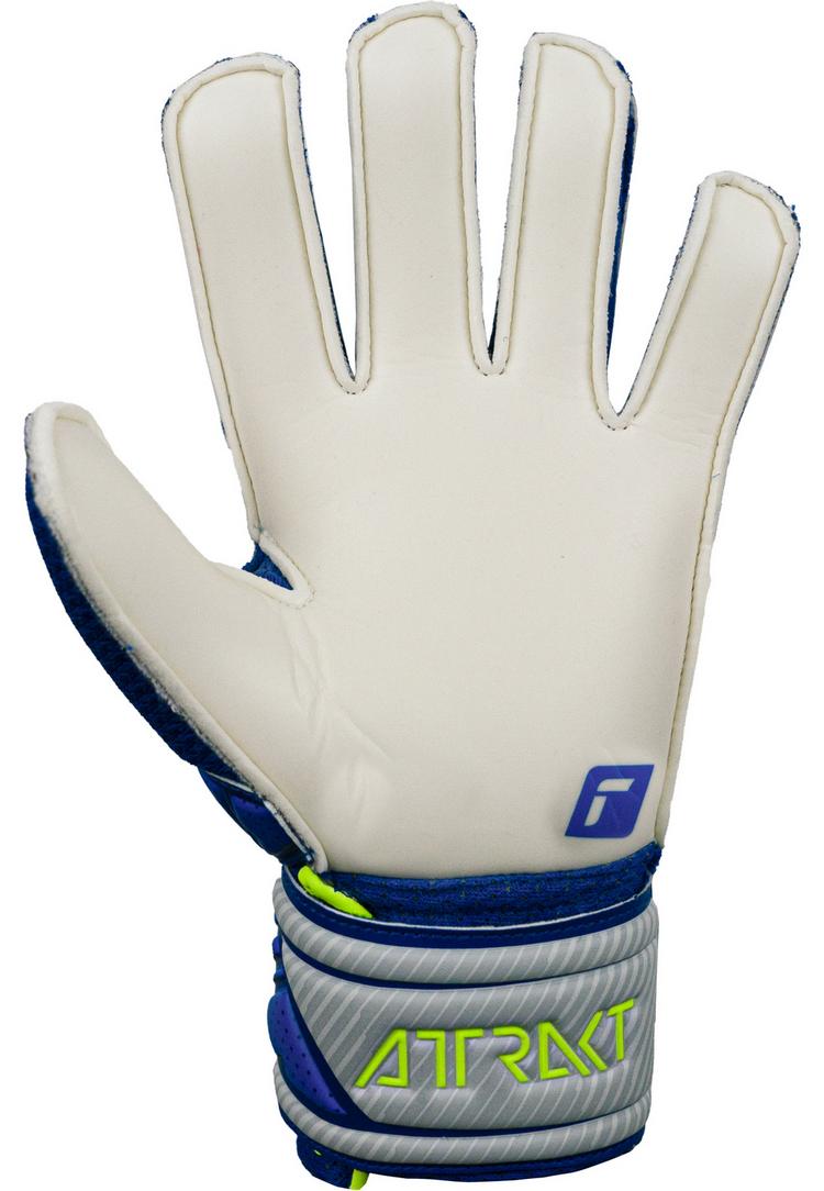 Reusch Reusch Attrakt Solid Junior Torwarthandschuhe Kinder - vapor gray/deep blue - 0 | SportScheck