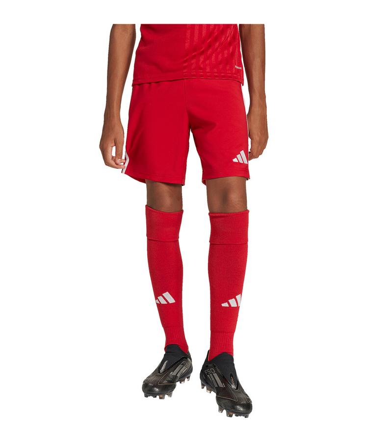 adidas adidas Tastigo 25 Short Kids Fu&szlig;ballshorts Kinder - rot - 0 | SportScheck