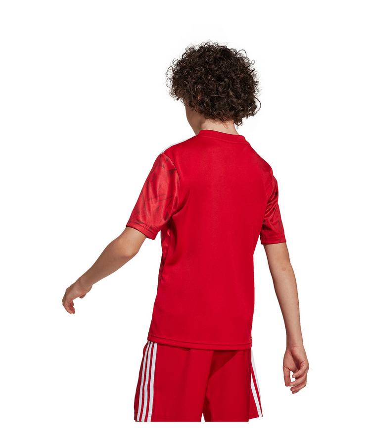 adidas adidas Team Icon 25 Trikot Kids Trikot Kinder - rotweiss - 0 | SportScheck