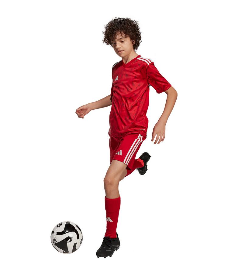 adidas adidas Team Icon 25 Trikot Kids Trikot Kinder - rotweiss - 0 | SportScheck