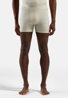 Rückansicht von Odlo Thermounterhose Herren agate gray(10867)