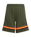 adidas Squadra 25 Short Kids Fu&szlig;ballshorts Kinder - gruenschwarz