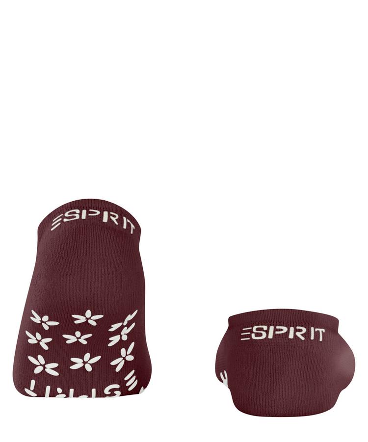 ESPRIT ESPRIT Home Socken Damen - purple wood (8724) - 0 | SportScheck