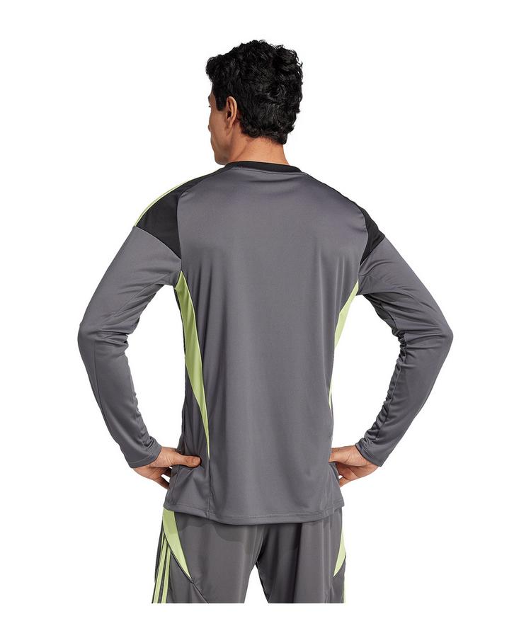 adidas adidas Tiro 25 Competition Torwarttrikot Trikot Herren - grau - 1 | SportScheck