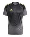 adidas Tiro 25 Competition Torwarttrikot Trikot Herren - grau