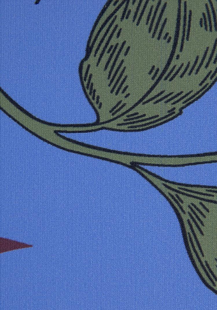 S.OLIVER S.OLIVER Bikini-Hose Bikini Hose Damen - blau - 0 | SportScheck