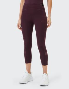 Rückansicht von VENICE BEACH VB Lisseth Tights Damen dark grape