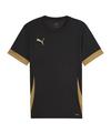 PUMA teamGOAL Matchday Trikot Trikot Herren - schwarzgold