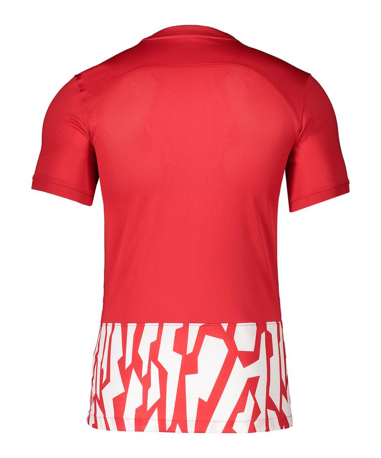 Nike Nike Dry NE GX1 Trikot Trikot Herren - rot - 0 | SportScheck