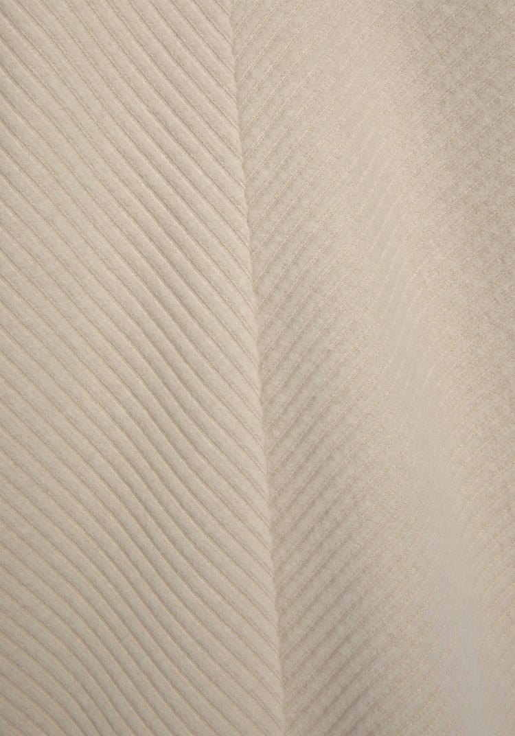 S.OLIVER S.OLIVER Sweatshirt Sweatshirt Damen - creme - 0 | SportScheck