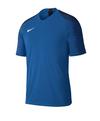 Nike Strike Trikot kurzarm Trikot Herren - blauweiss