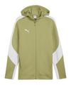 PUMA teamEVOSTRIPE Kapuzenjacke Funktionssweatshirt Herren - gruen