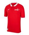 Nike TFF Polo EC 2024 Poloshirt - rot