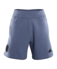 adidas FC Schalke 04 Z.N.E. Short Fu&szlig;ballshorts - blau