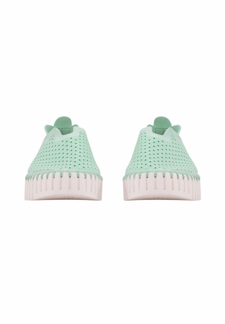 Ilse Jacobsen Ilse Jacobsen TULIP3373 Sneaker Damen - Yucca - 1 | SportScheck