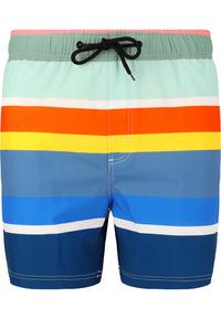 Cruz Toby Badehose Herren - Print 3624 Rainbow Stripe
