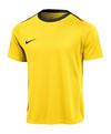 Nike Academy Pro 24 Trainingsshirt Funktionsshirt Herren - gelb