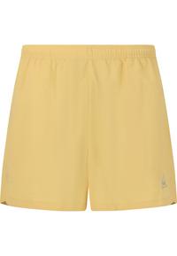 SOS Whitsunday Shorts Damen - 5272 Straw