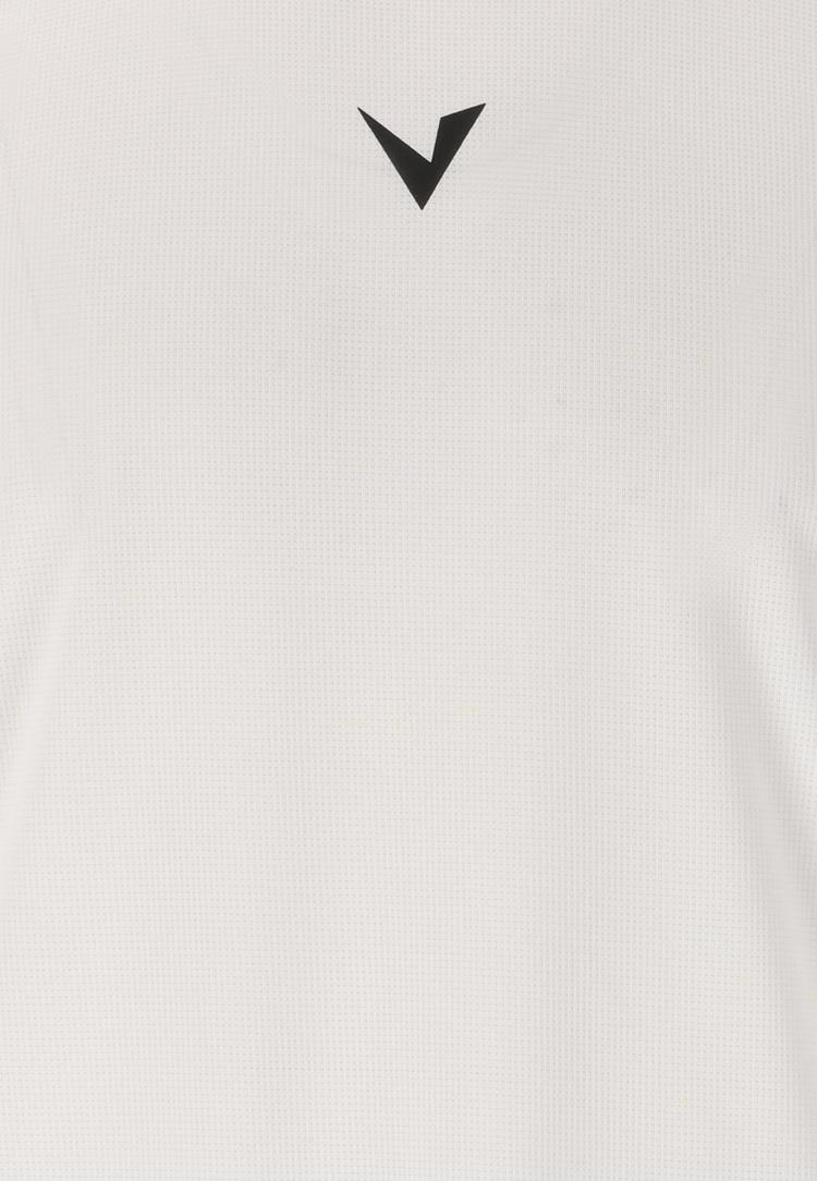 Virtus Virtus Ayaan Funktionsshirt Herren - 1002 White - 0 | SportScheck