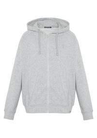 Chiemsee Sweatjacke Sweatjacke Herren - 17-4402M Neutral Gray Melange