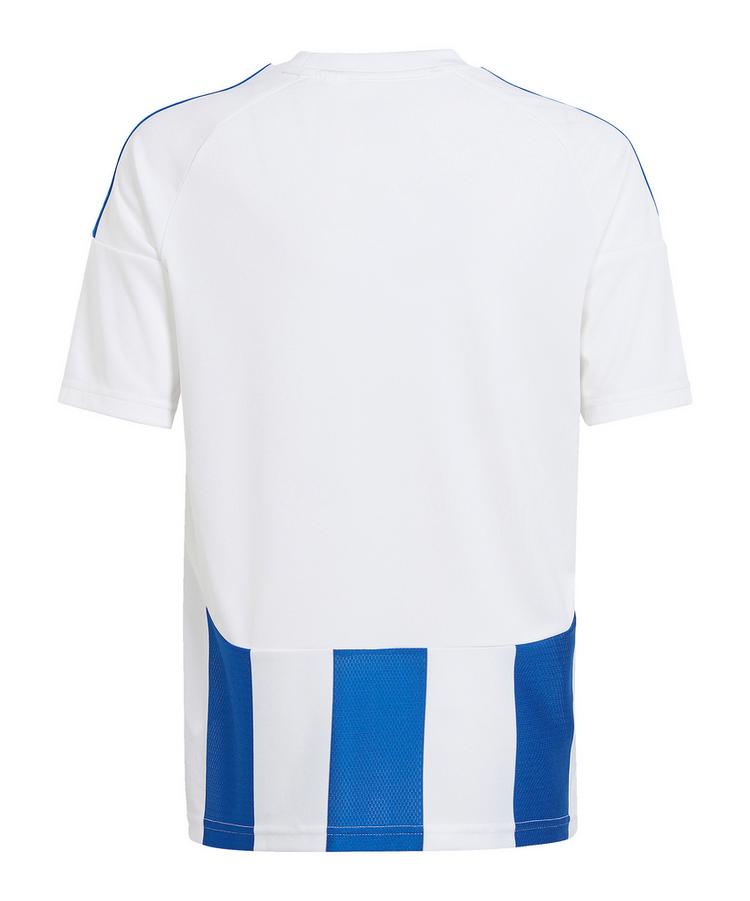 adidas adidas Striped 24 Trikot Kids Trikot Kinder - weissblau - 0 | SportScheck