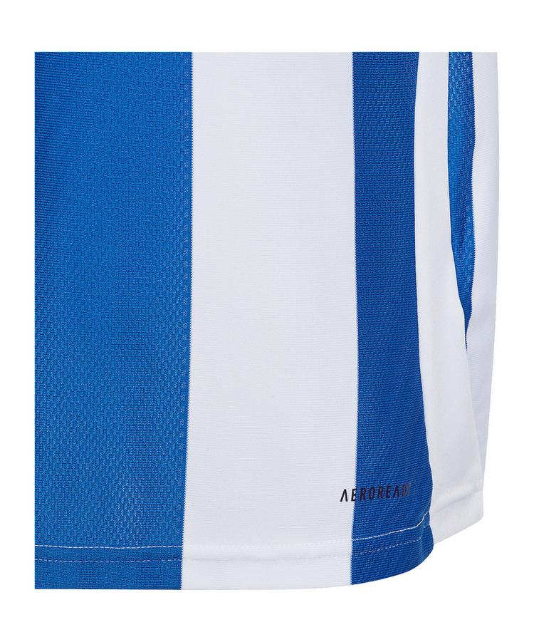 adidas adidas Striped 24 Trikot Kids Trikot Kinder - weissblau - 0 | SportScheck