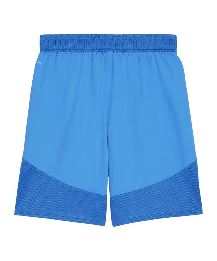 PUMA PUMA teamFINAL Short Fu&szlig;ballshorts Herren - blaublau - 0 | SportScheck