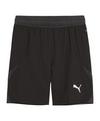 PUMA teamFINAL Short Fu&szlig;ballshorts Herren - schwarzweissgrau