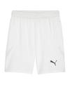 PUMA teamFINAL Short Fu&szlig;ballshorts Herren - weissschwarzgrau