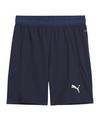 PUMA teamFINAL Short Fu&szlig;ballshorts Herren - blauweissblau