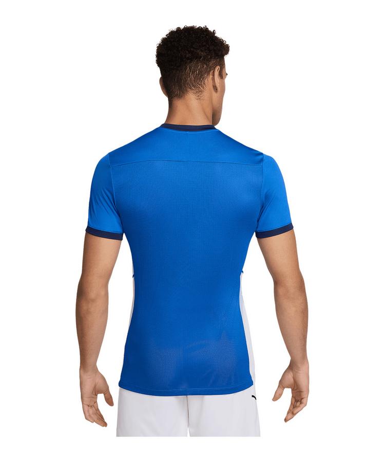 Nike Nike Academy 25 Trainingsshirt Funktionsshirt Herren - blaublau - 0 | SportScheck