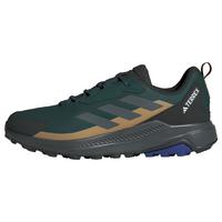 adidas Terrex Anylander Wanderschuh Wanderschuhe - Aurora Ivy / Grey Six / Cardboard