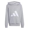 adidas Essentials Kids Hoodie Hoodie Kinder - Medium Grey Heather / White