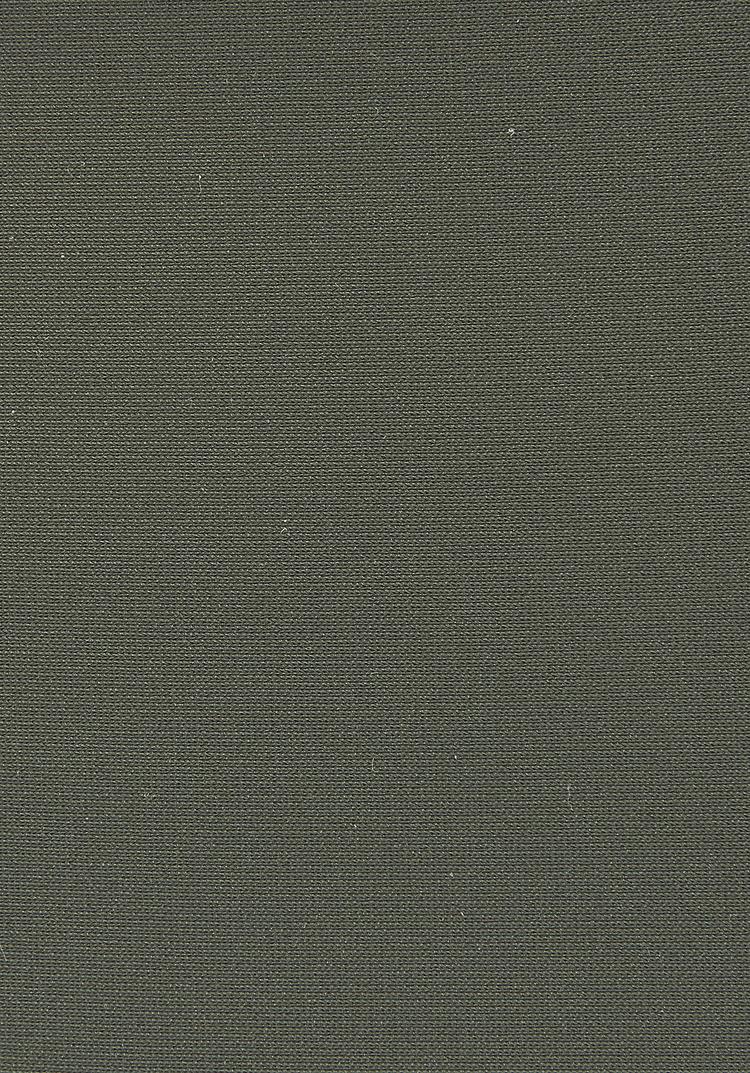 Lascana Lascana Bikini-Hose Bikini Hose Damen - oliv - 1 | SportScheck