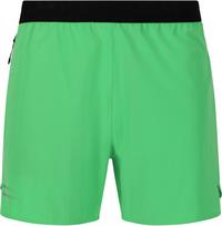 Endurance Letic Funktionsshorts Herren - 3238 Island Green