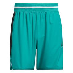 adidas adidas Crazy Lite Shorts Basketball-Shorts Herren Pure Teal / Black