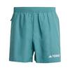adidas Terrex Multi Shorts Funktionsshorts Herren - Preloved Teal