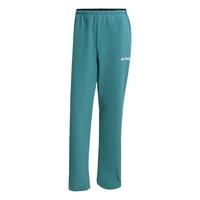 adidas Terrex Multi Liteflex Hose Wanderhose Herren - Preloved Teal